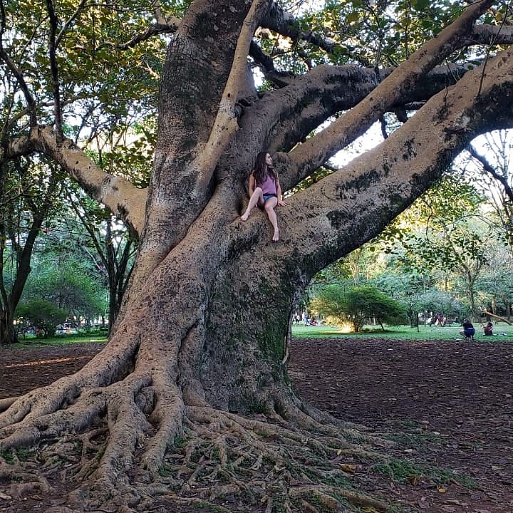 Flávia Maitri em uma grande árvore centenária, símbolo de liberdade e enraizamento