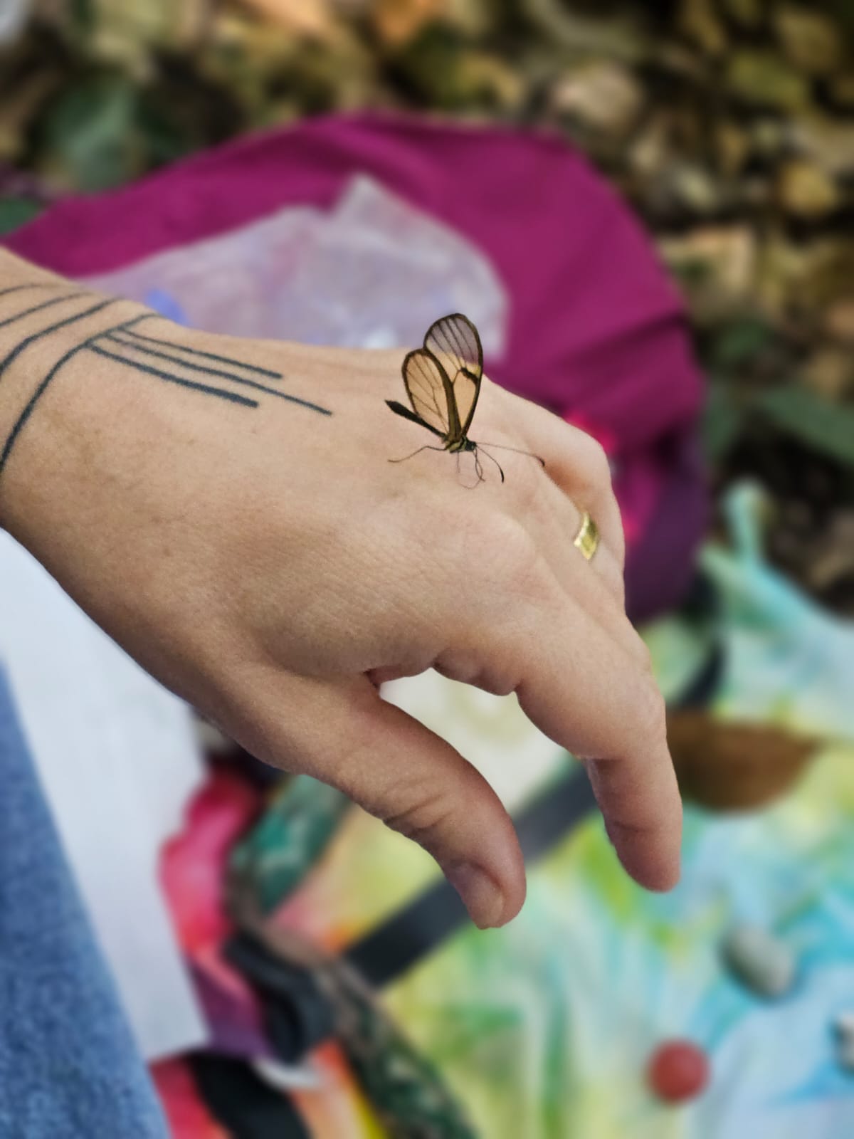 Borboleta pousada na mão de Flávia Maitri, símbolo do despertar e da transformação